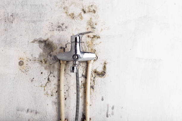 Best HVAC Mold Remediation in Marble Falls, TX