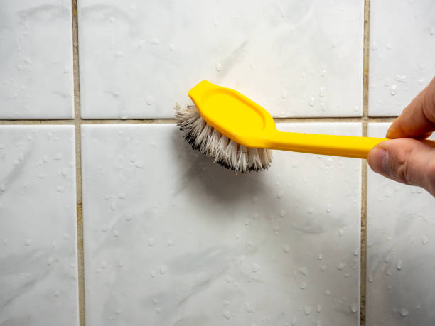 Best Emergency Mold Remediation in Marble Falls, TX