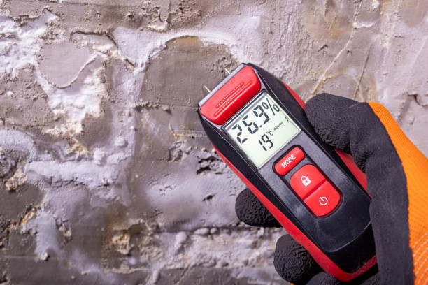 Best Health and Safety Mold Remediation in Marble Falls, TX